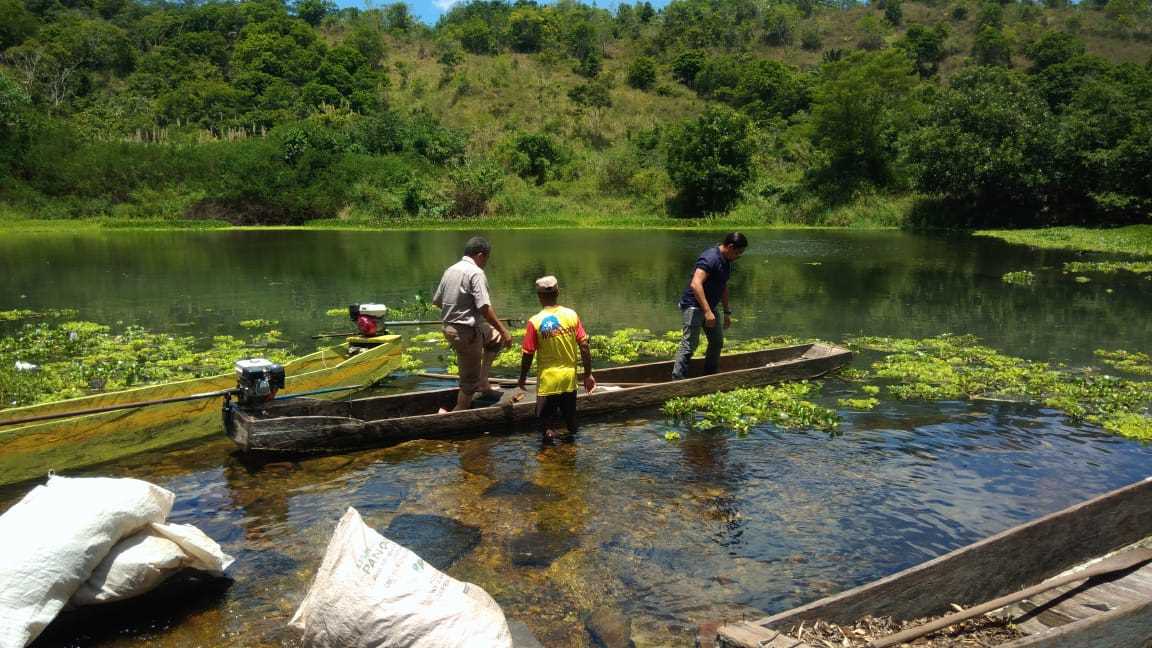 Mortandade de Peixes no Rio Pardo assusta moradores de Camacã e regiã